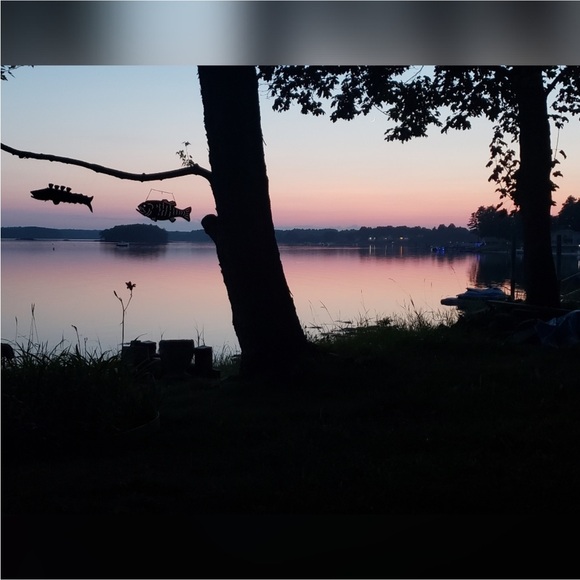 🧘‍♀️ BROOKS SPORTS BRA PINK & GRAY VNPLC 38 DD - Picture 10 of 16